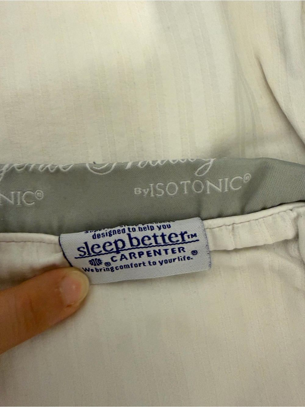 Indulgence by Isotonic king pillowcases